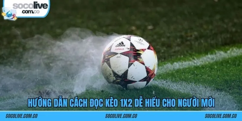Hướng dẫn cách đọc kèo 1x2 dễ hiểu cho người mới
