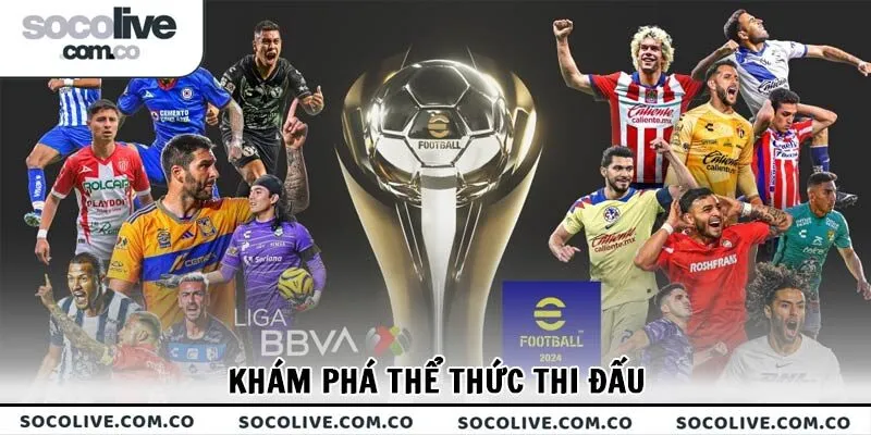 Khám phá thể thức thi đấu
