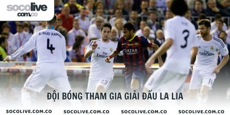 Đội bóng tham gia giải  đấu La Lia