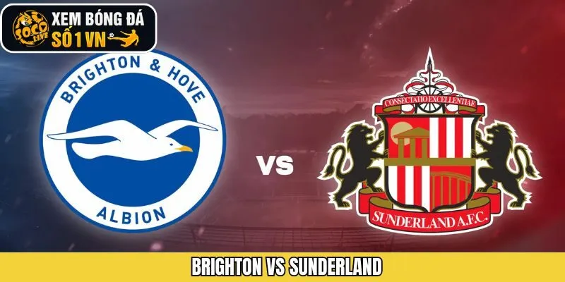 Brighton Vs Sunderland - Quyết Chiến Giải Ngoại Hạng Vào 20/12