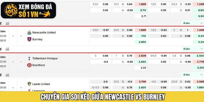 Tham khảo tỷ lệ nhận định của Socolive