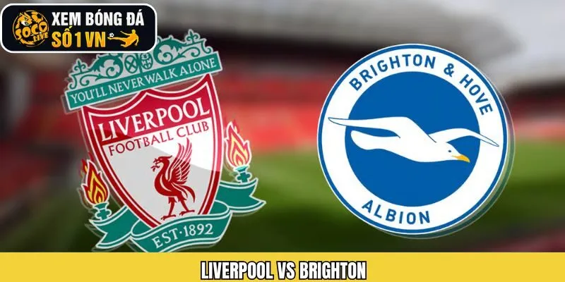 Liverpool VS Brighton - Phân Tích Chi Tiết Trận Đấu 13/12
