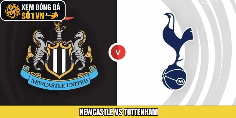 Newcastle Vs Tottenham 03h15 Ngày 3/12 Từ Socolive