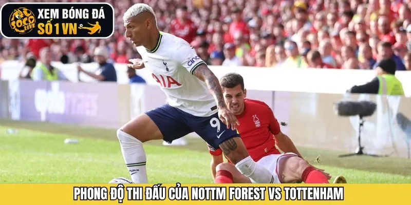 Phong độ tổng thể của Nottm Forest vs Tottenham trước trận derby