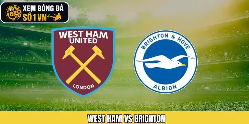 Nhận Định West Ham Vs Brighton Ngày 31/12 Chuẩn Từ Socolive