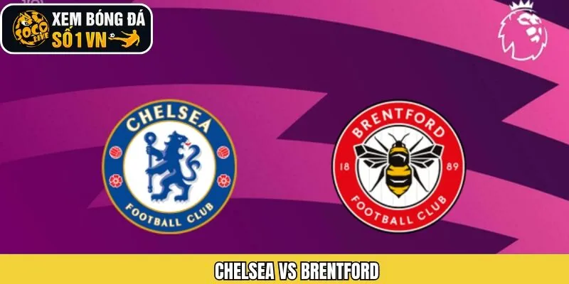 Nhận Định Trận Đấu Chelsea VS Brentford Ngày 17/1 Từ Socolive