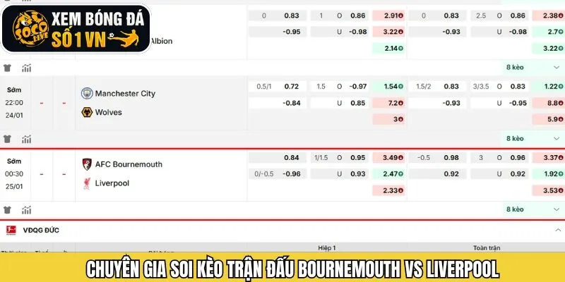 Phân tích tỷ lệ kèo trận bóng Bournemouth và Liverpool
