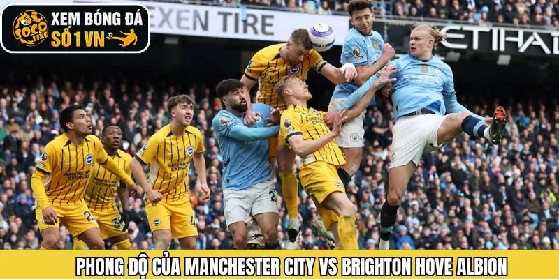 Đánh giá phong độ Manchester City vs Brighton Hove Albion