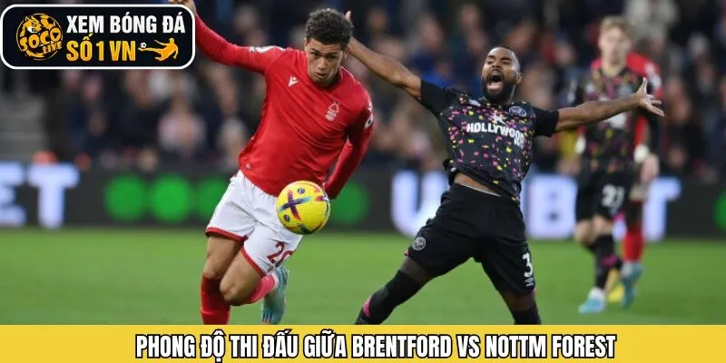Phong độ Brentford vs Nottm Forest những trận gần đây