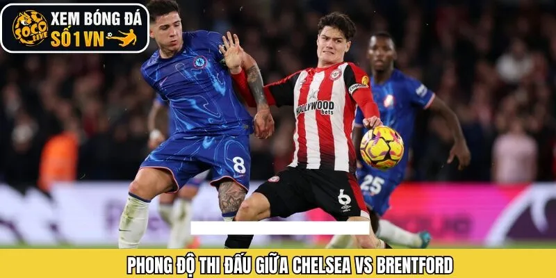 Thành tích ra sân gần đây của Chelsea vs Brentford