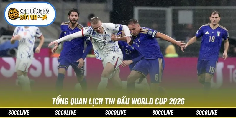 Tổng quan lịch thi đấu World Cup 2026